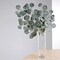 Frosted Green 4 Stems 25" Silk Eucalyptus Leaves Artificial Greenery Party